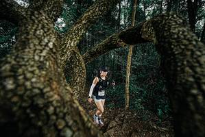 BIB: 
                            <button type="button" onclick="openModal(25703137)" class="btn btn-primary btn-sm float-right btn-popup" data-toggle="modal" data-target=".modal-high-quality">
                        <i class="fas fa-shopping-cart"></i> Add to Cart
                    </button>
                                            <button type="button" onclick="isThisMe(25703137, true)" class="btn btn-success btn-sm float-right btn-popup btn-isme hidden" data-toggle="tooltip" data-placement="bottom" title="นี่คือรูปของคุณใช่ไหม คลิกที่นี่เพื่อเอาเข้าอัลบั้ม">
                        <i class="fas fa-plus"></i> Add to album
                    </button>
                    <button type="button" onclick="isThisMe(25703137, false)" class="btn btn-warning btn-sm float-right btn-popup btn-isnotme hidden">
                        <i class="fas fa-ban"></i> Remove from album
                    </button>